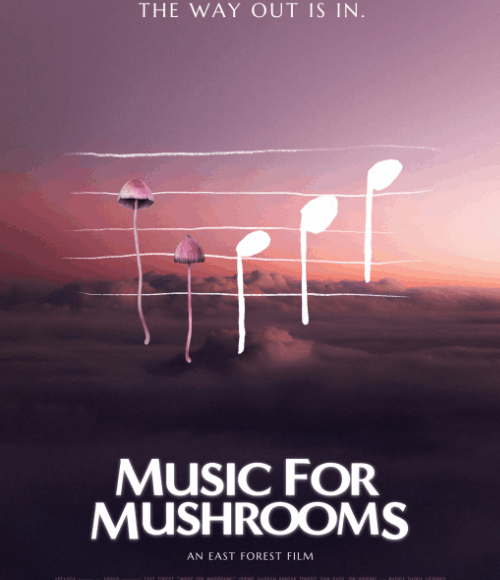 Music for Mushrooms Filmscreening + Live Q&A by East Forest 27 january 2026 @ Salon Ruigoord Amsterdam